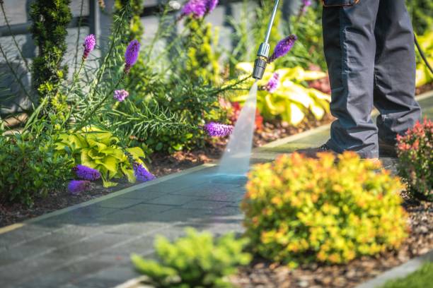 Best Animal Enclosure Cleaning  in Salado, TX