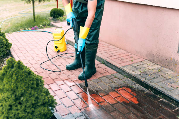 Best Solar Panel Cleaning  in Salado, TX